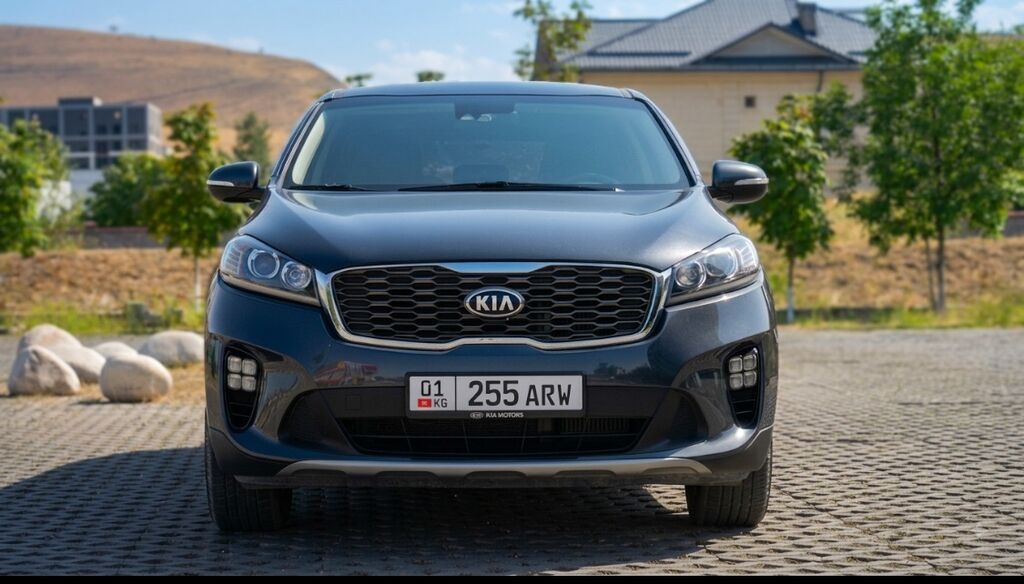 Kia Sorento: 2019 г., Автомат, Дизель, Кроссовер: фото 2
