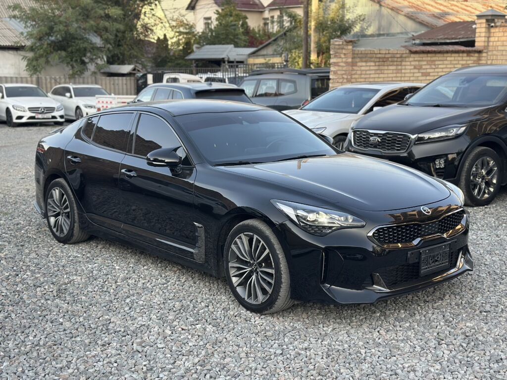 Kia Stinger: 2018 г., 2.2 л, Дизель, Фастбек: фото 2