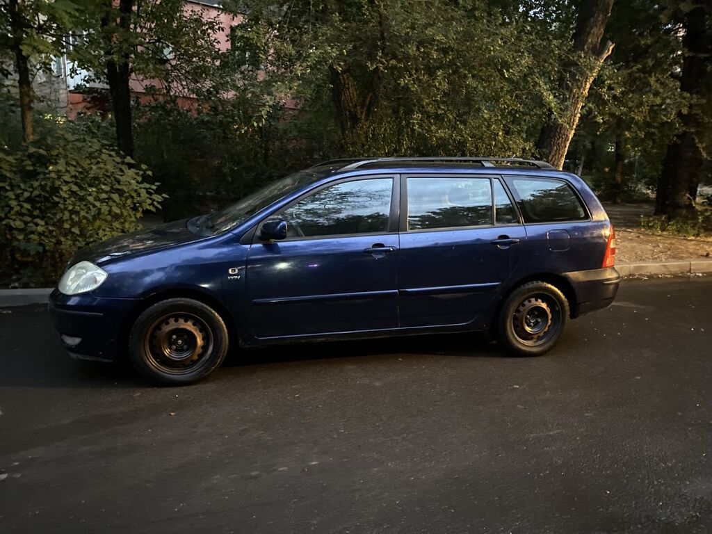 Toyota Corolla: 2003 г., 1.6 л, Механика, Бензин, Универсал: фото 2
