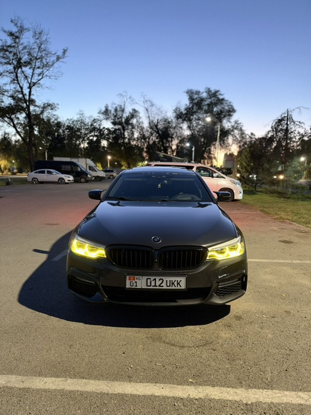 BMW 5 series: 2018 г., 2 л, Автомат, Бензин, Седан: фото 2