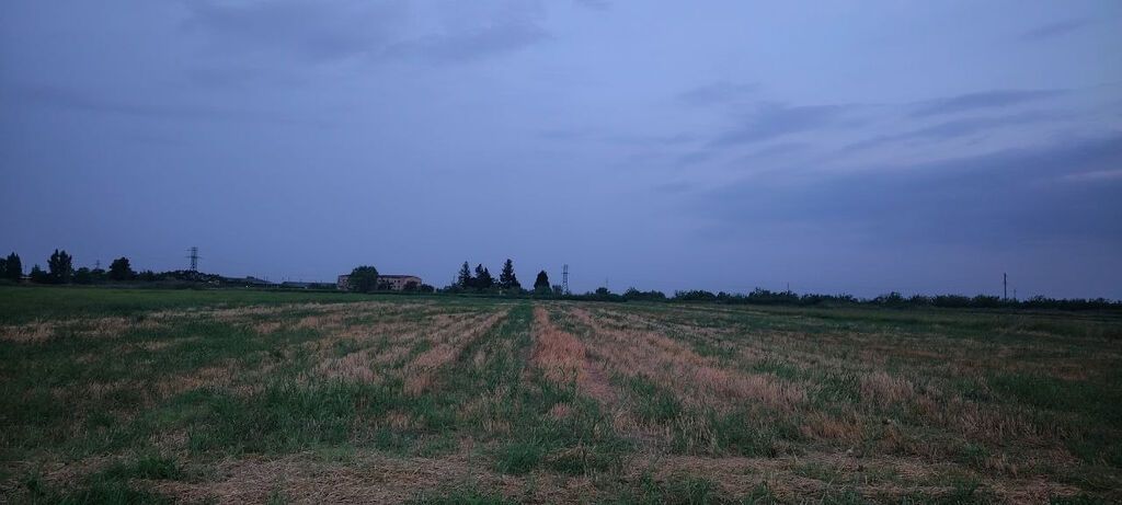 Bərdə rayon alpoud kəndi əkin sahəsi kanal qırağı torpaq Kupçalı sənəd