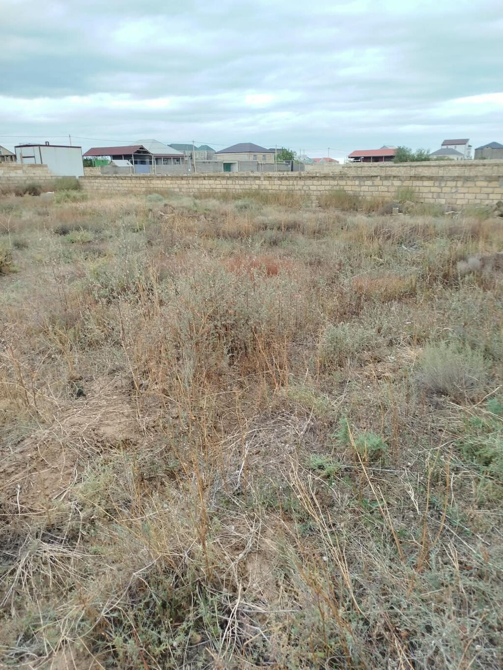 6 sot, Tikinti, Mülkiyyətçi, Kupça (Çıxarış)