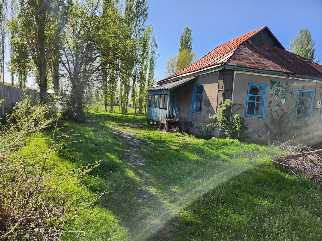 Продаю участок (с домом, возможно под снос) 20лет никто не жил и есть: фото 2