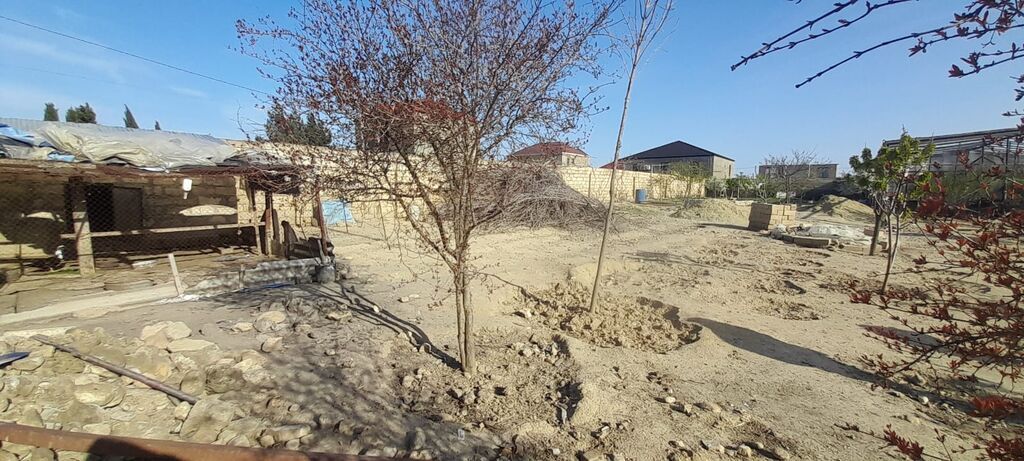 2 sot, Kənd təsərrüfatı, Mülkiyyətçi, Kupça (Çıxarış)