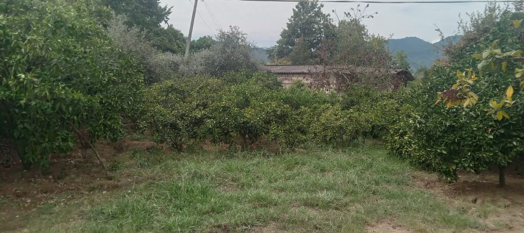3 otaqlı, 100 kv. m, Kredit yoxdur, Orta təmir