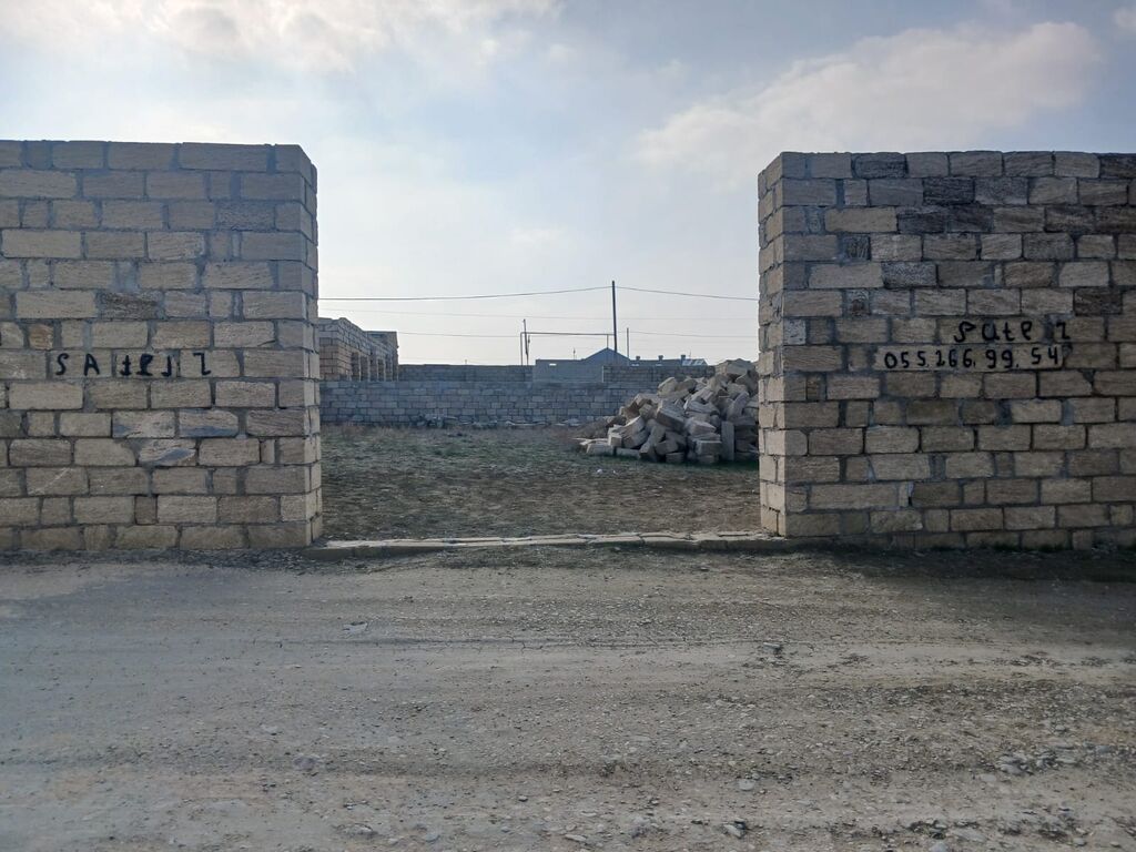 Tikinti