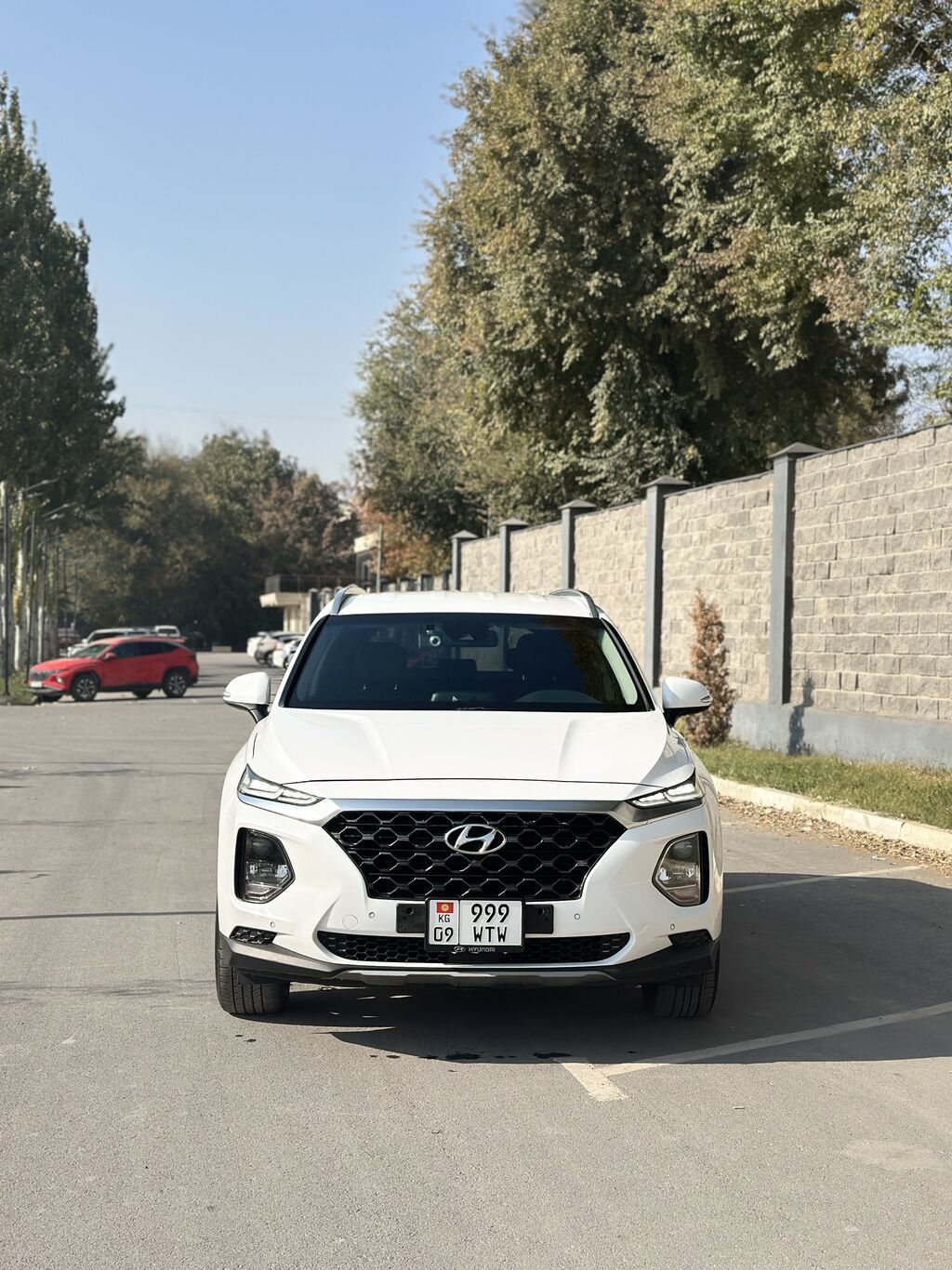 Hyundai Santa Fe: 2019 г., 2 л, Автомат, Дизель, Кроссовер: фото 2