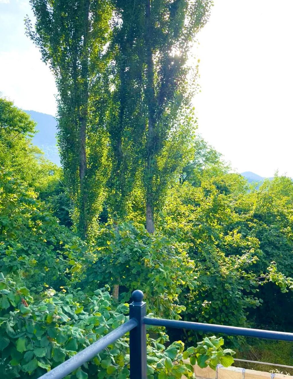 Qəbələ, 65 kv. m, 3 otaqlı, Hovuzlu