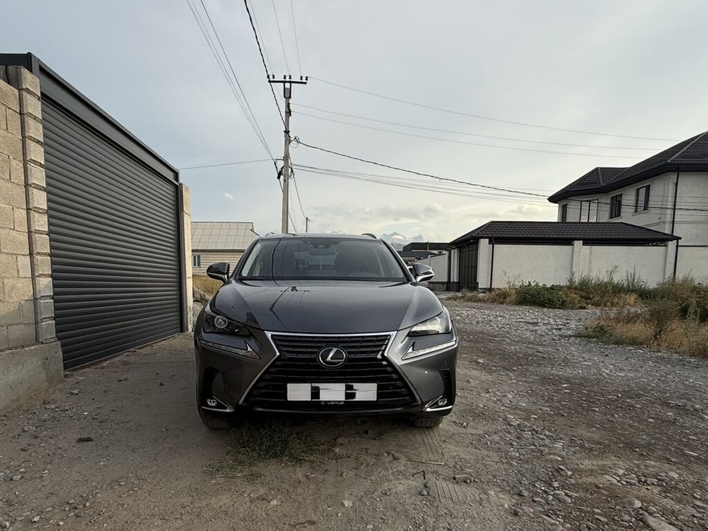 Lexus NX: 2019 г., 2 л, Автомат, Бензин, Кроссовер: фото 2