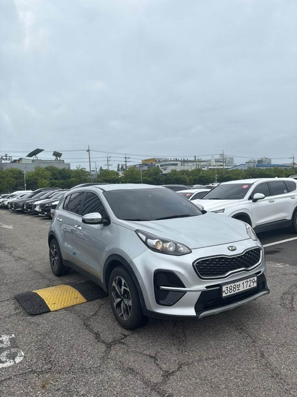Kia Sportage: 2020 г., 1.7 л, Автомат, Дизель, Кроссовер: фото 3