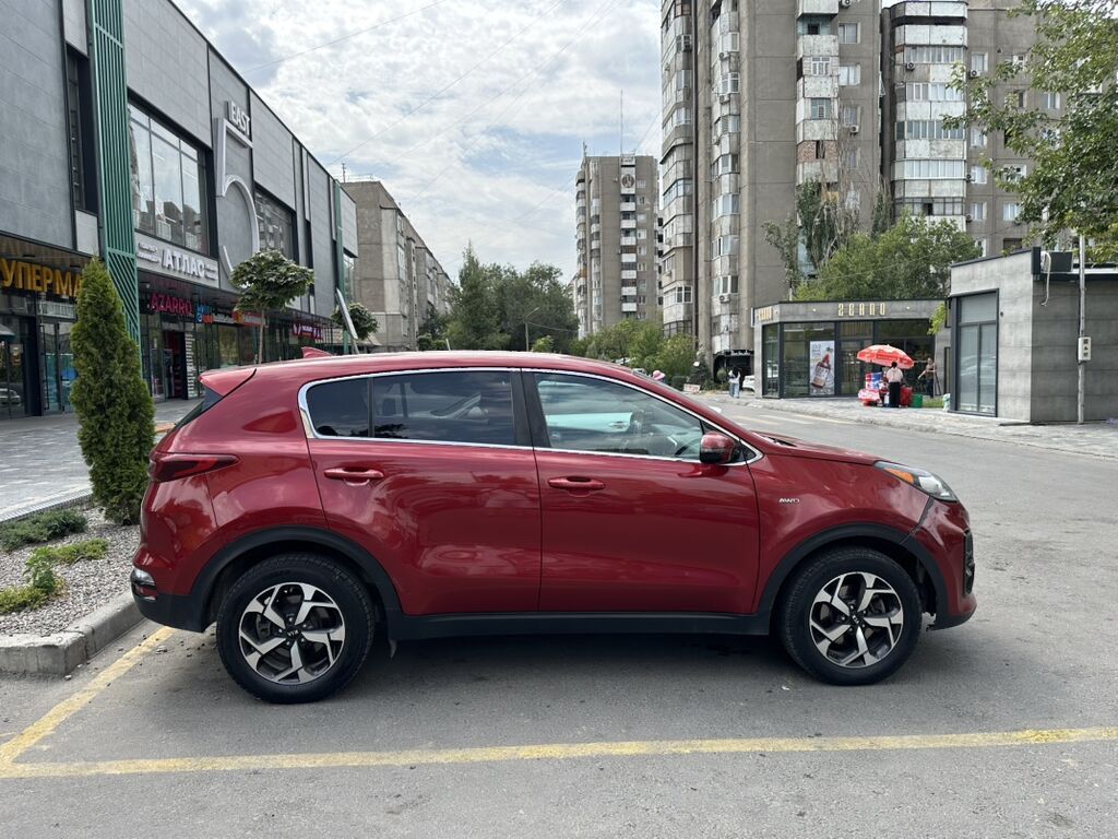 Kia Sportage: 2020 г., 2.4 л, Автомат, Бензин, Кроссовер: фото 4