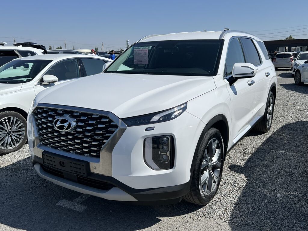 Hyundai Palisade: 2019 г., 2.2 л, Автомат, Дизель, Кроссовер: фото 1