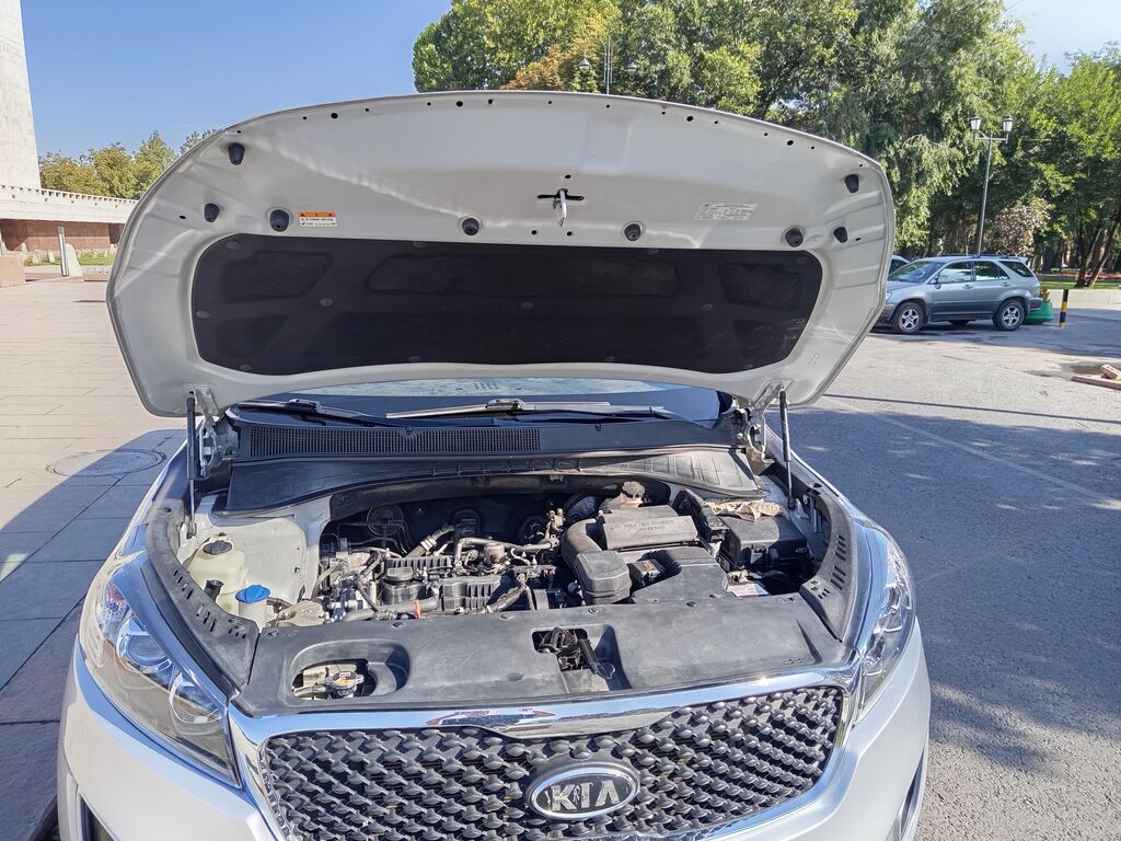 Kia Sorento: 2019 г., 2.4 л, Автомат, Бензин, Кроссовер: фото 4