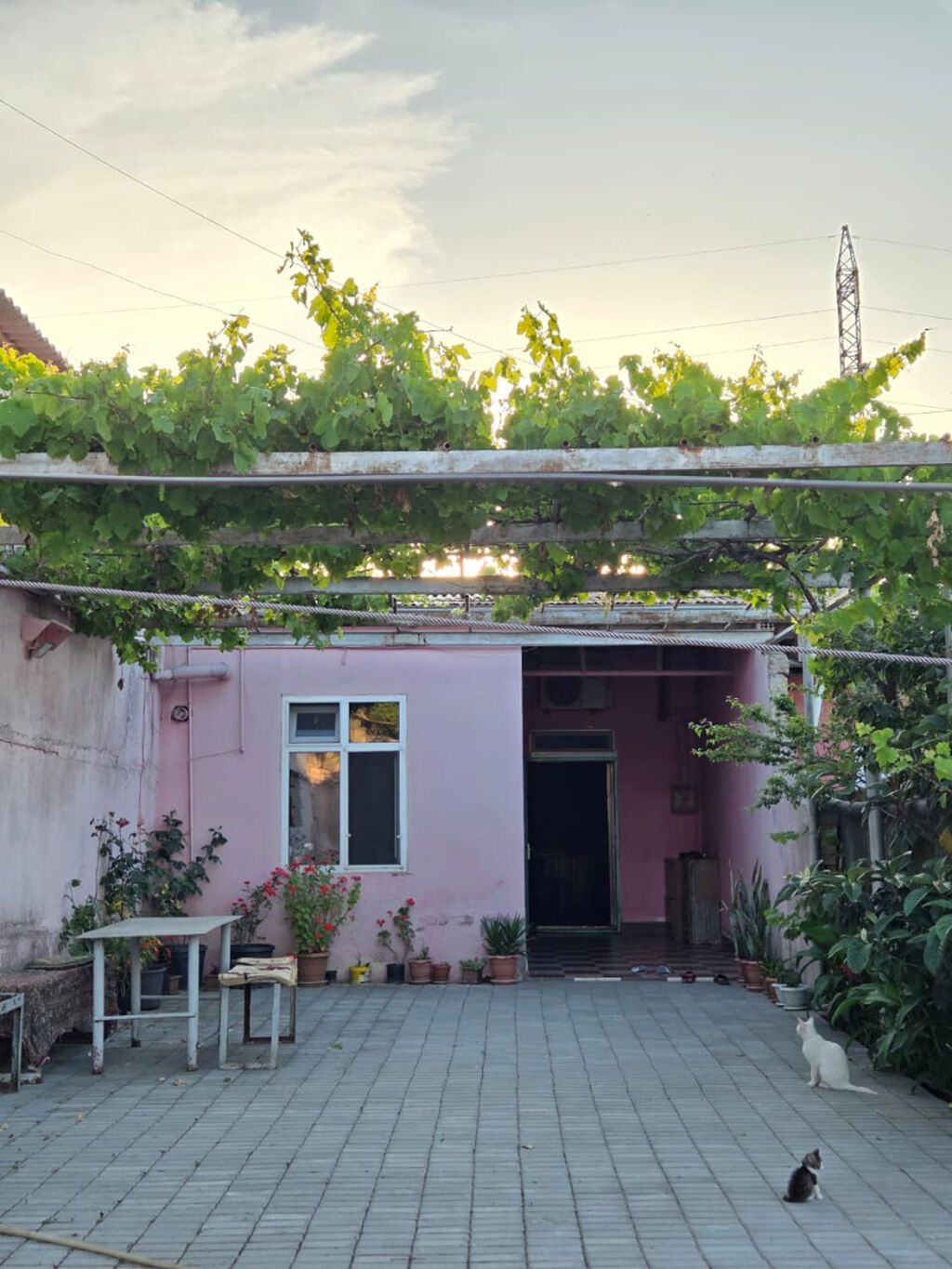 Sumqayıt, 72 kv. m, 3 otaqlı, Hovuzsuz, Telefon, Qaz, İnternet