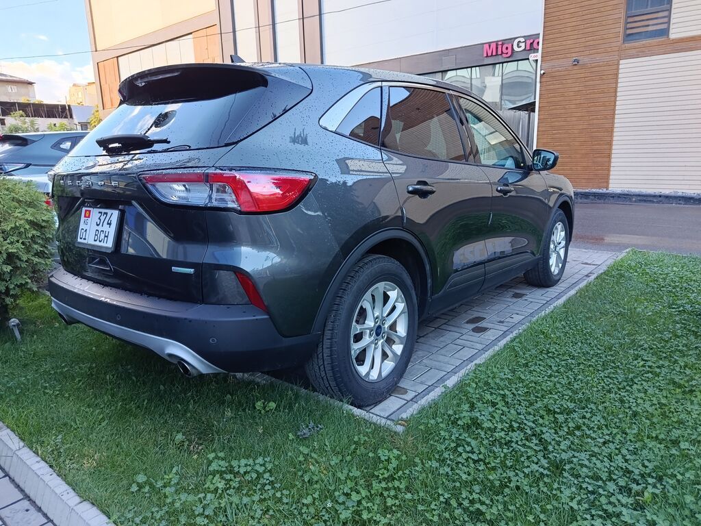 Ford Escape: 2020 г., Кроссовер: фото 8