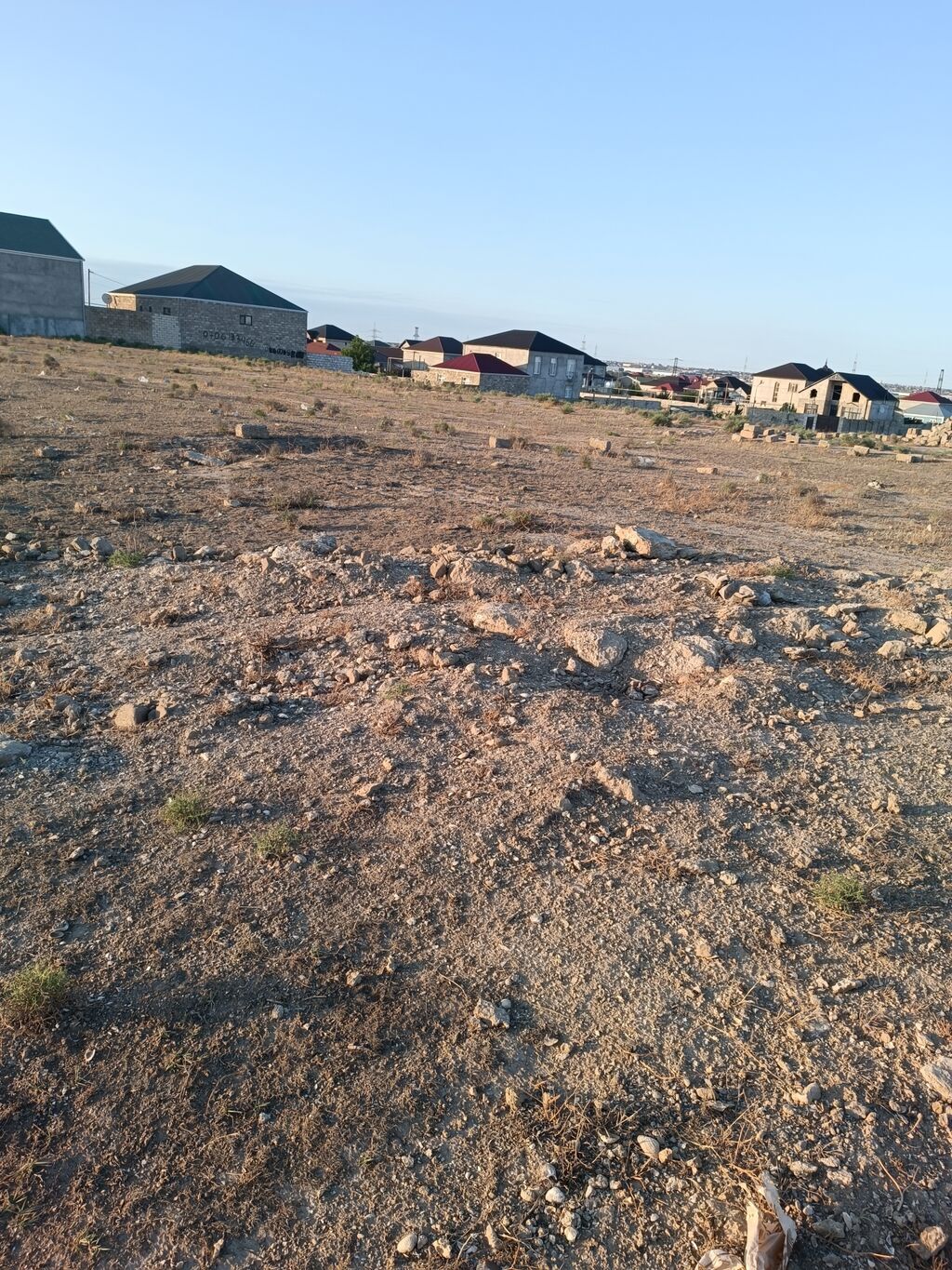 Tikinti