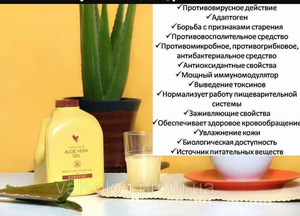 Картинки Алоэ Вера Форевер