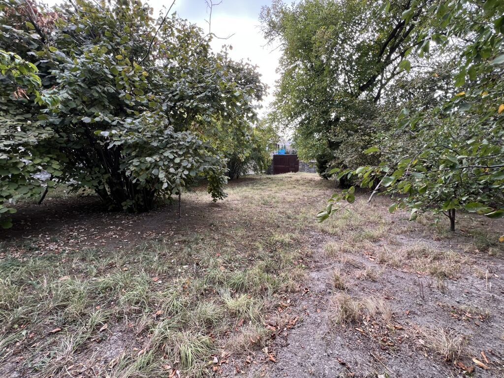8 sot, Tikinti, Mülkiyyətçi, Kupça (Çıxarış)