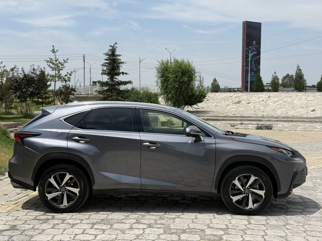 Lexus NX: 2019 г., 2 л, Автомат, Бензин, Кроссовер: фото 8