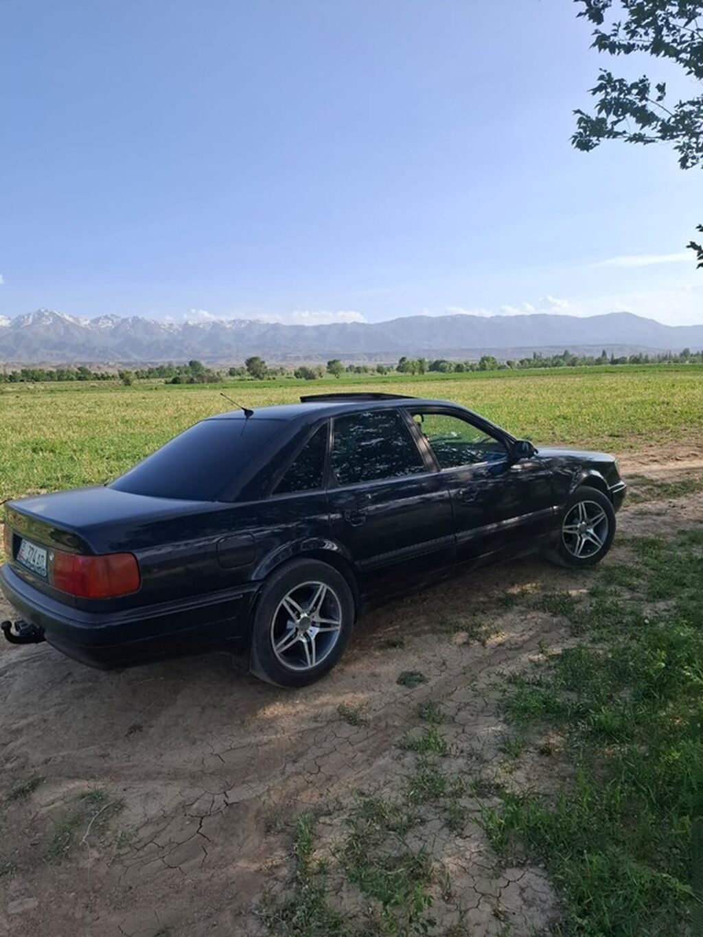 Audi A6: 1993 г., 2.6 л, Механика, Бензин, Седан: фото 3