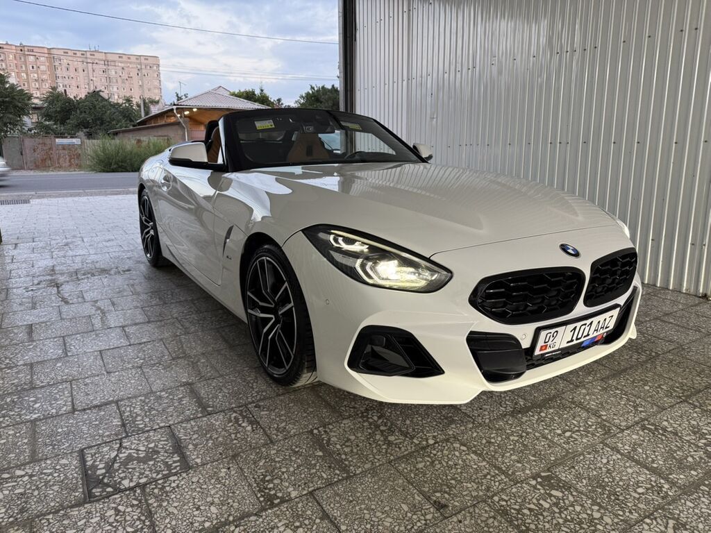 BMW Z4: 2019 г., 2 л, Автомат, Бензин, Кабриолет: фото 1