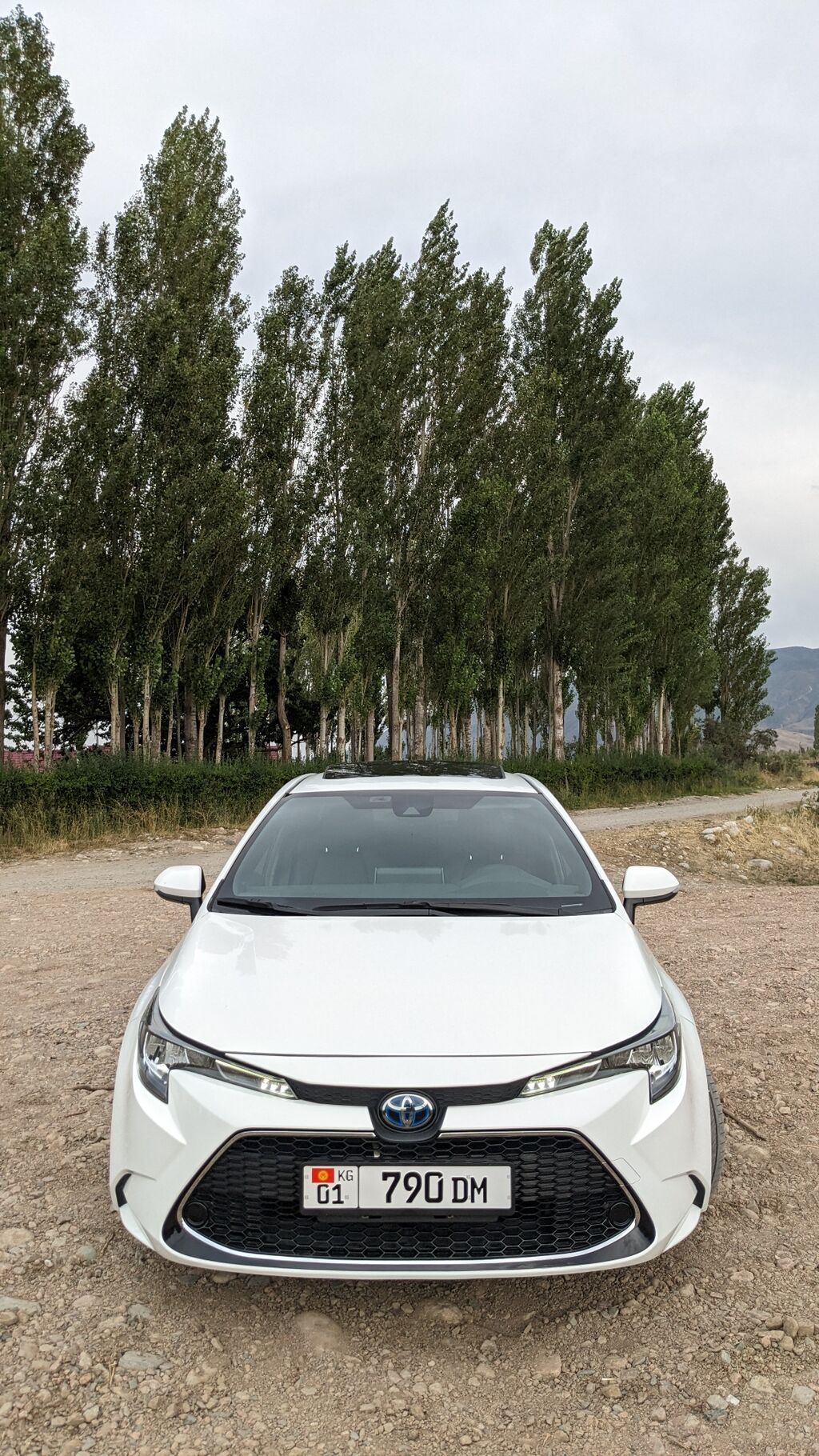 Toyota Corolla: 2023 г., 1.8 л, Вариатор, Гибрид, Седан: фото 1