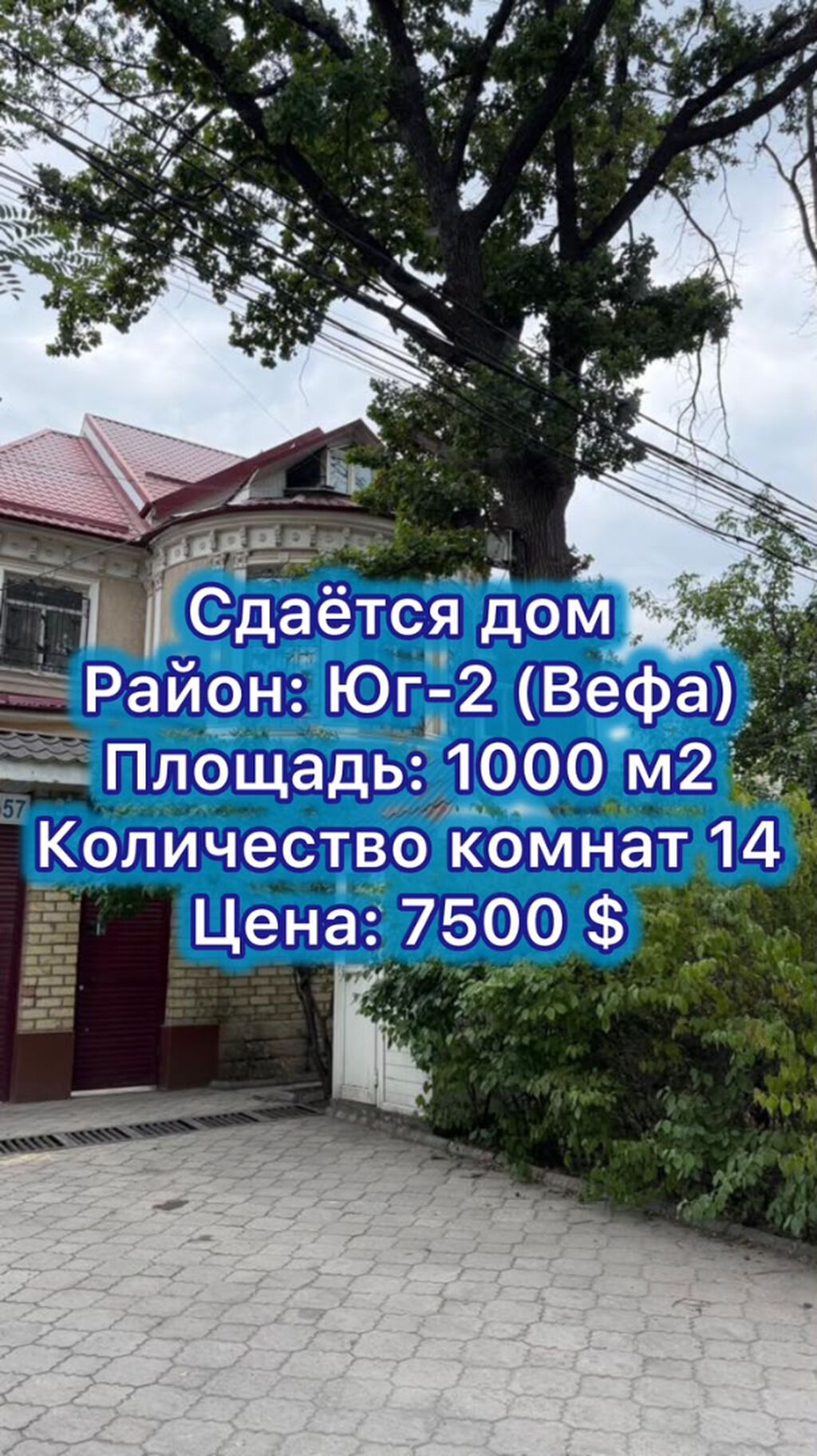 1000 м², 14 комнат, Юг-2 мкр, Студентам: фото 1