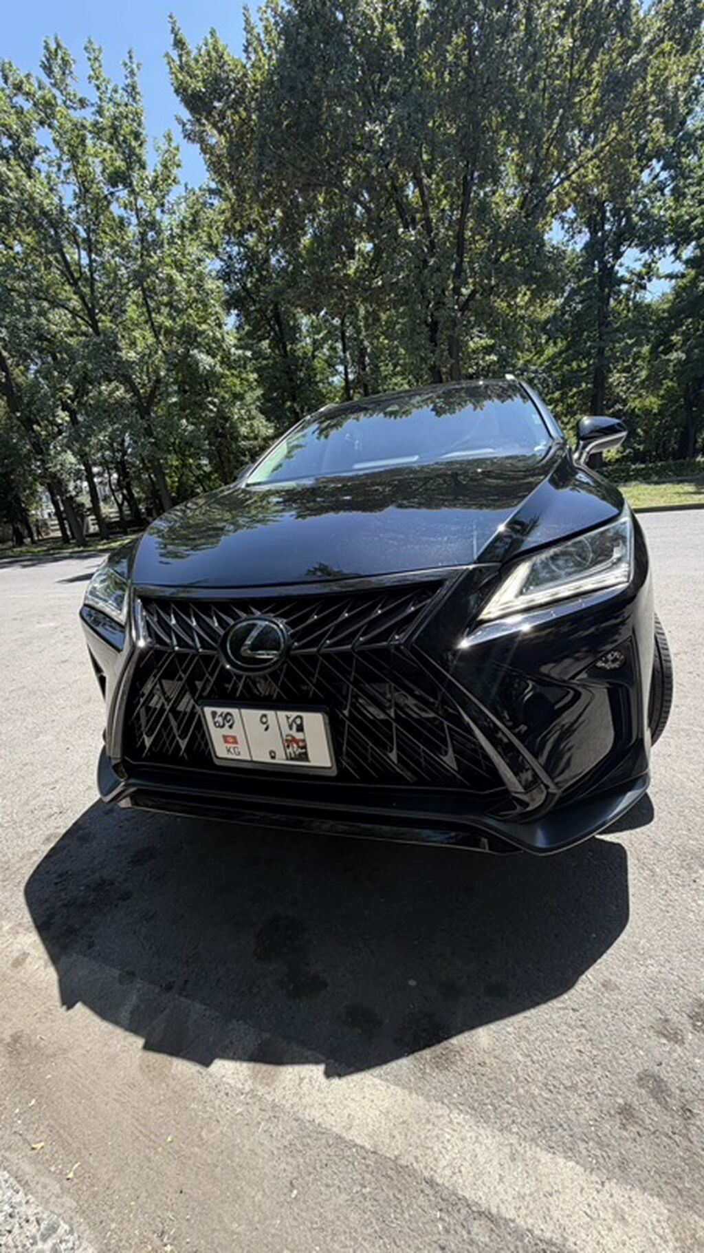 Lexus RX: 2019 г., Бензин, Кроссовер: фото 6