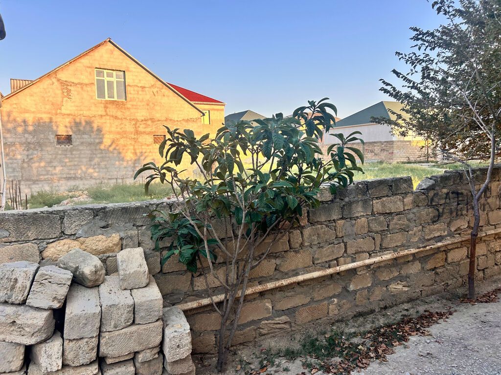 Torpaq Bələdiyyə çıxarışı evin binövrəsinin beyonu tökülüb 50-50 yə