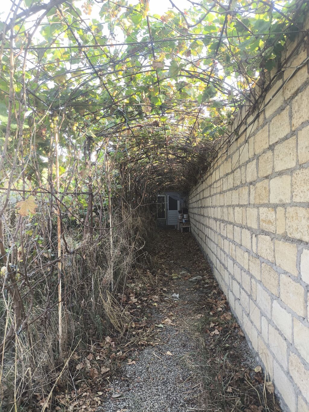 8 sot, Tikinti, Kupça (Çıxarış)