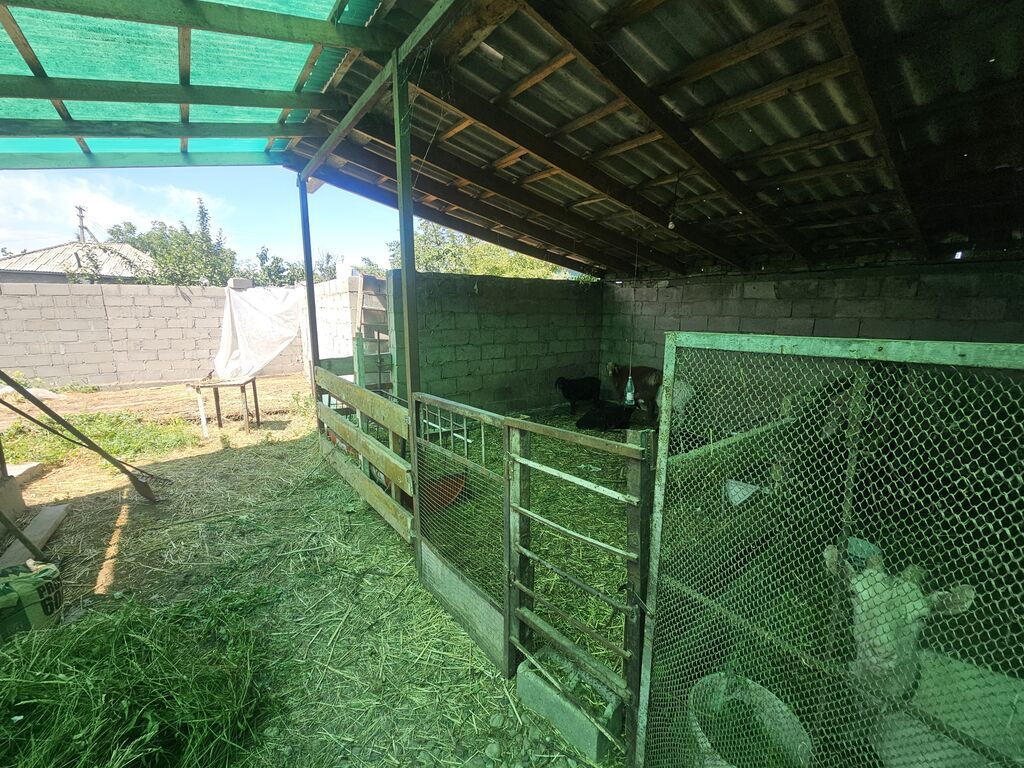 Продаю дом по ул. Фрунзенская 100м от Пржевальской улицы, дом 3: фото 3