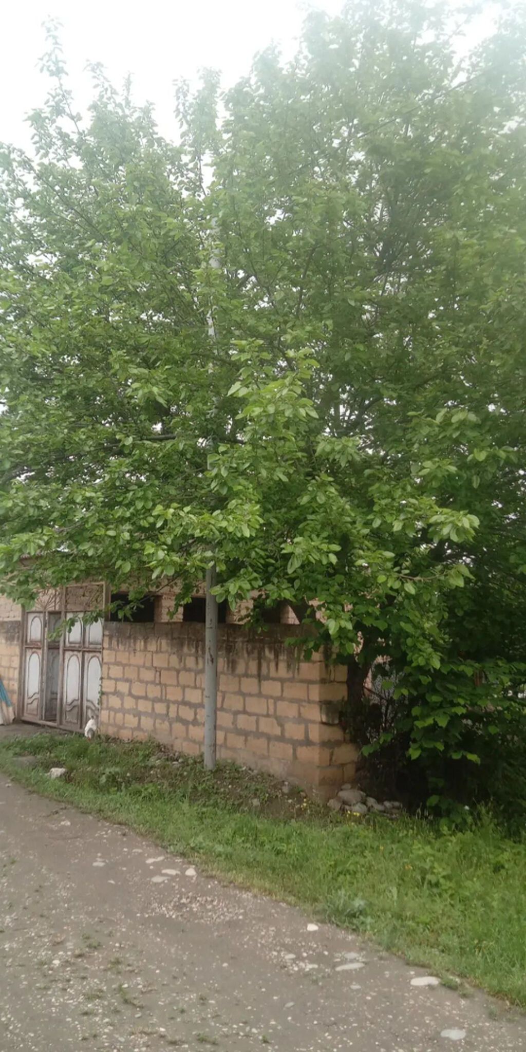 4 otaqlı, 87 kv. m, Kredit yoxdur, Təmirsiz