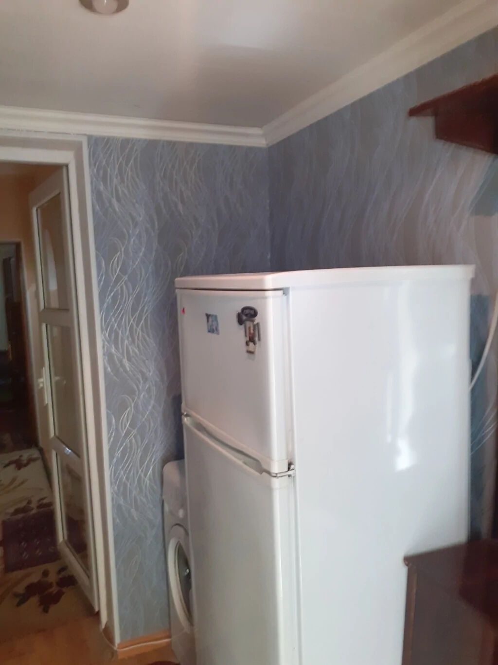 1-room house for rent in Abşeron, 30 m², 250 AZN/mo, photo 3 / 9