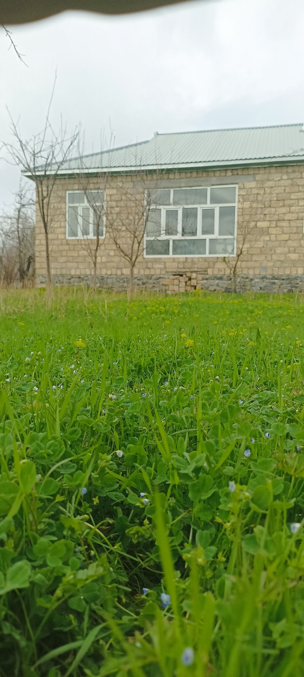 Qəbələ, 100 kv. m, 5 otaqlı, Hovuzsuz, İnternet