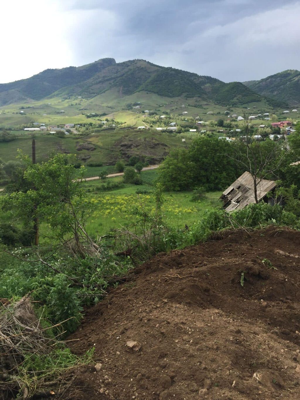 10 sot, Tikinti, Mülkiyyətçi, Kupça (Çıxarış)