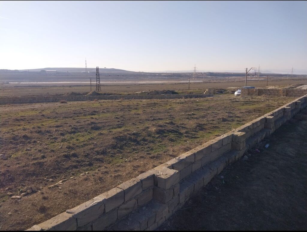 7 sot, Tikinti, Kupça (Çıxarış)