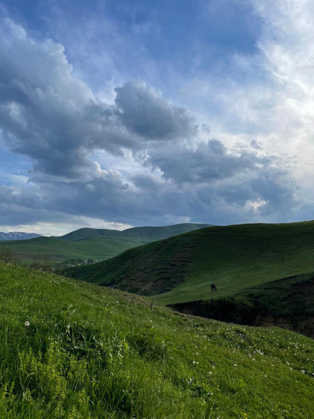10 sot, Tikinti, Mülkiyyətçi, Kupça (Çıxarış)
