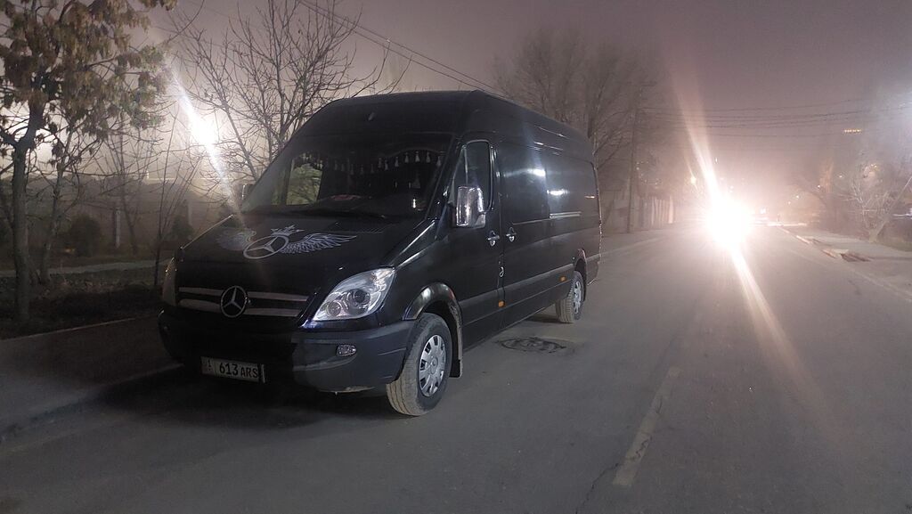Mercedes-Benz Спринтер: 2011 г., 2.7 л, Механика, Дизель, Бус: фото 8
