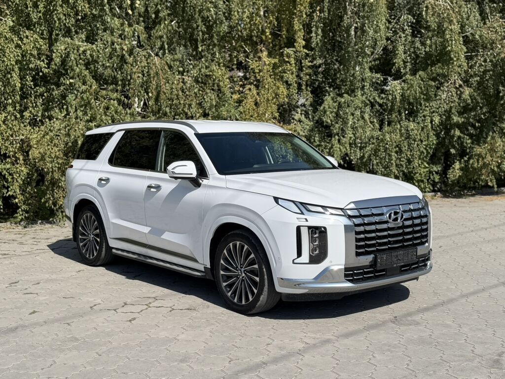 Hyundai Palisade: 2023 г., 2.2 л, Автомат, Дизель, Кроссовер: фото 3