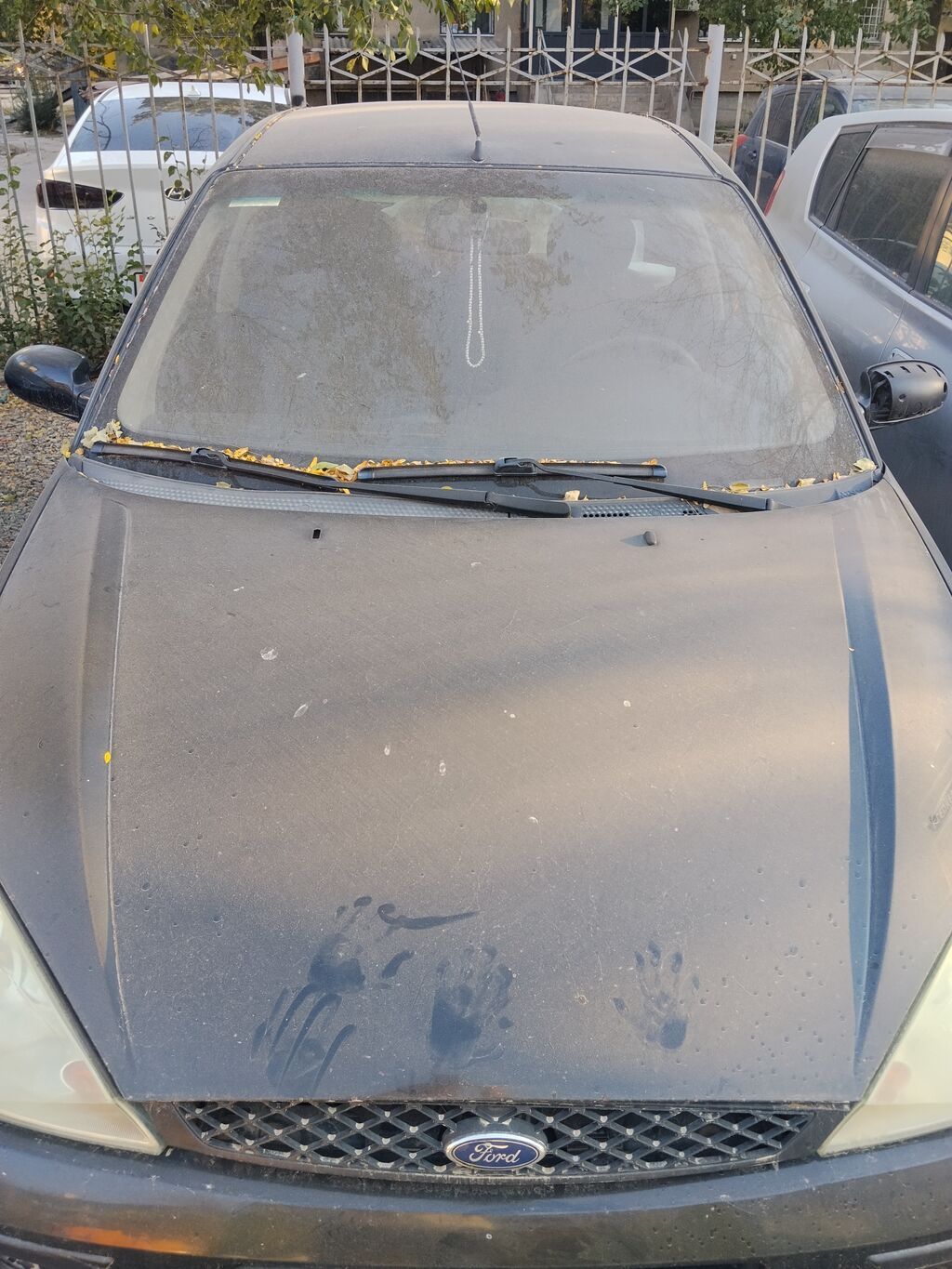 Ford Focus: 2002 г., 1.8 л, Механика, Бензин, Хэтчбэк: фото 1