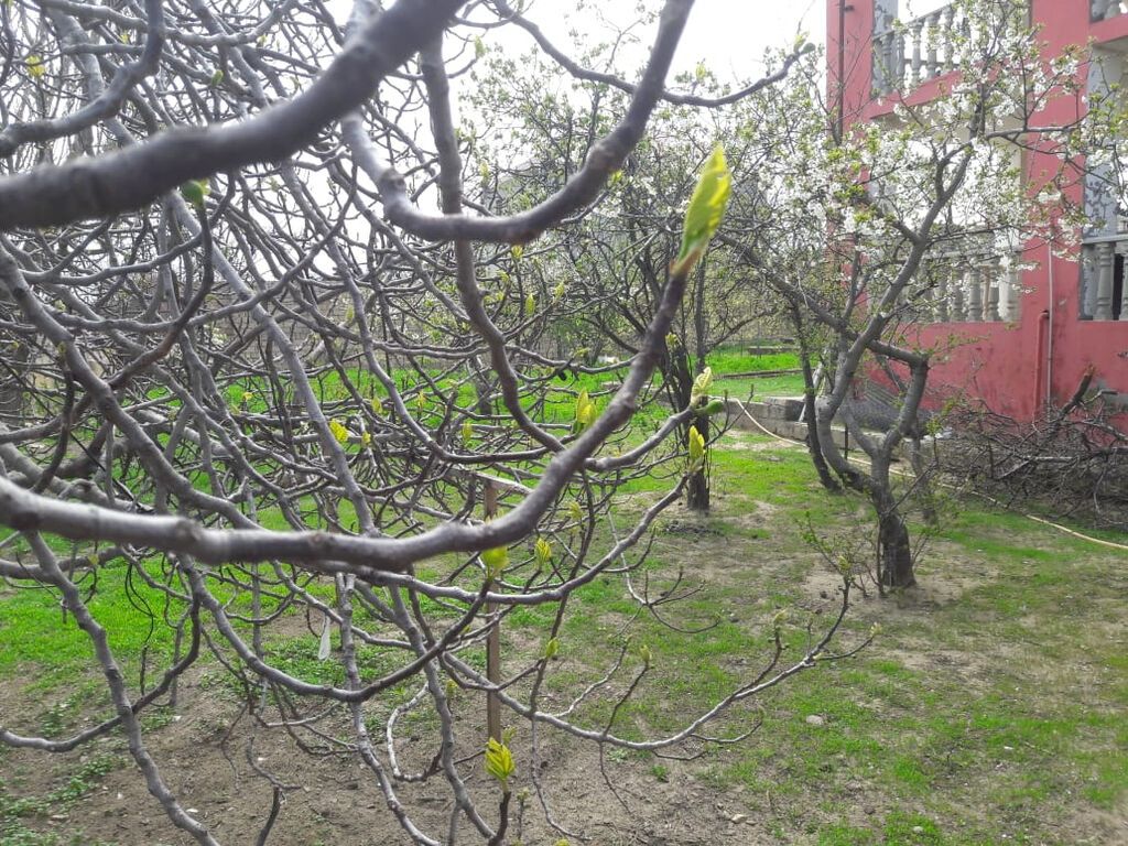 Görədildə 5 otaqlı həyət evi satılır, 206 m², 155 000 AZN, şəkil 2 / 12