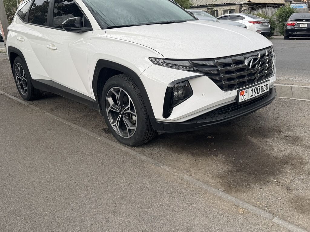 Hyundai Tucson: 2024 г., 2 л, Автомат, Бензин, Кроссовер: фото 1
