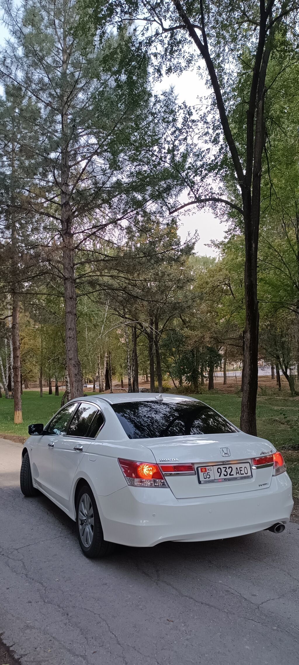 Honda Accord: 2012 г., 2.4 л, Автомат, Бензин, Седан: фото 2
