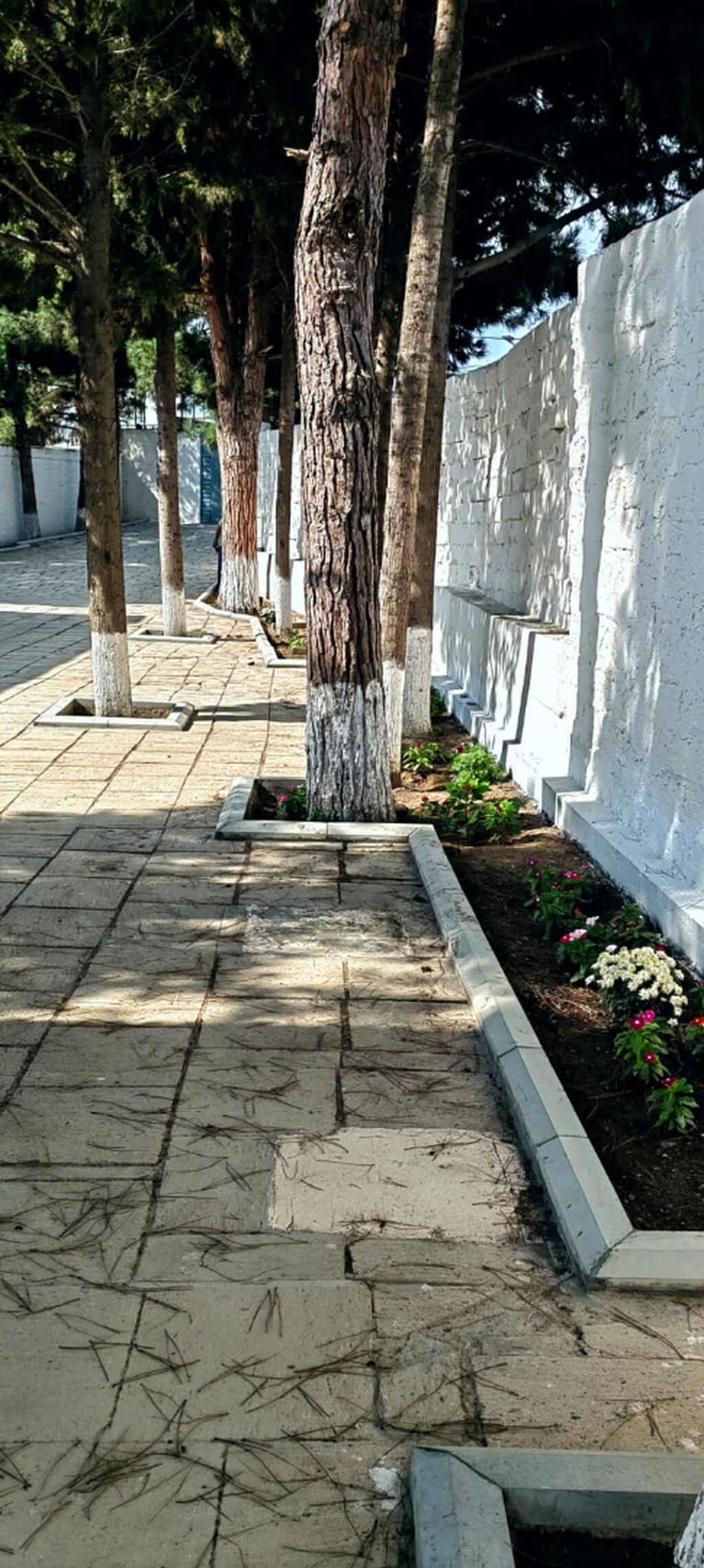 Maştağa qəs. 4 otaqlı, 135 kv. m, Kredit yoxdur, Yeni təmirli