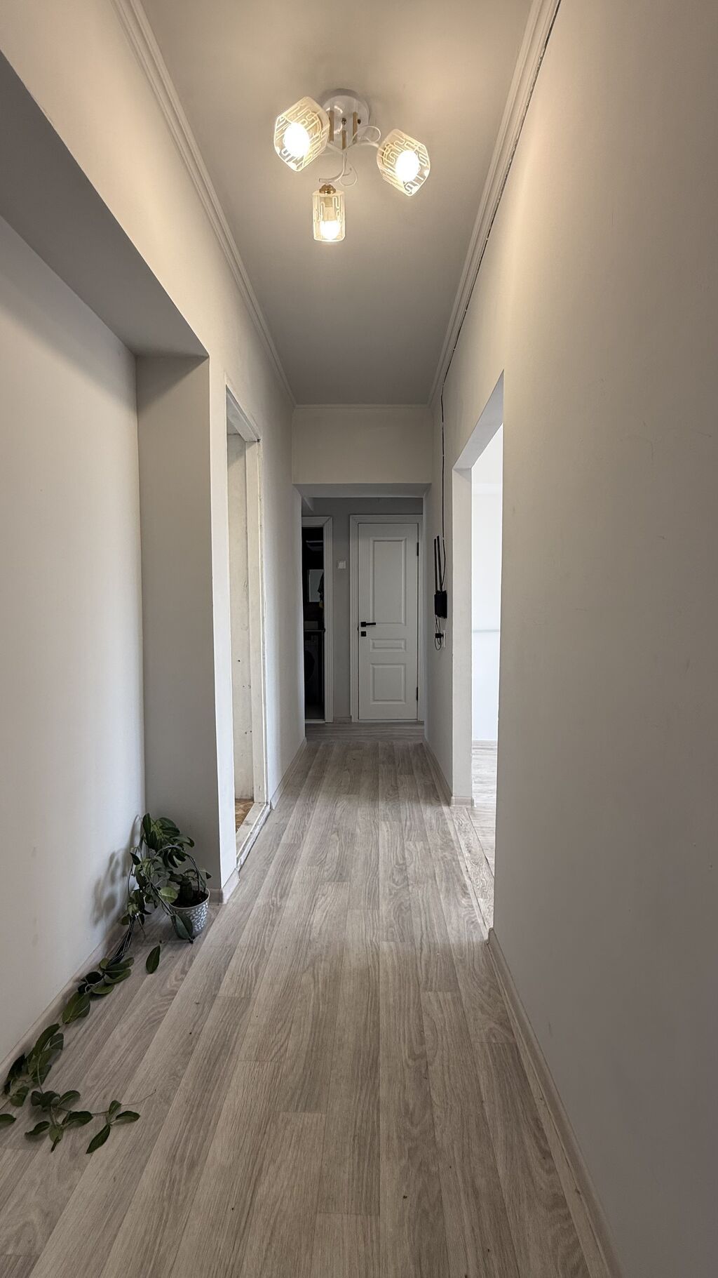 3 комнаты, 66 м², Филармония Индивидуалка, 9 этаж, Косметический ремонт: фото 3