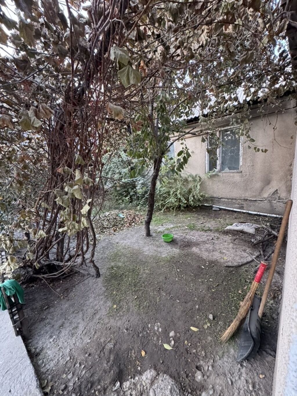 Продаю дом по первой линии с хоз постройками район Көлмө - пригородное: фото 8