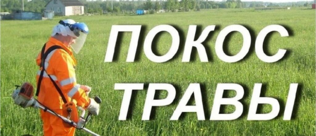 Уборка территории, Стрижка газона