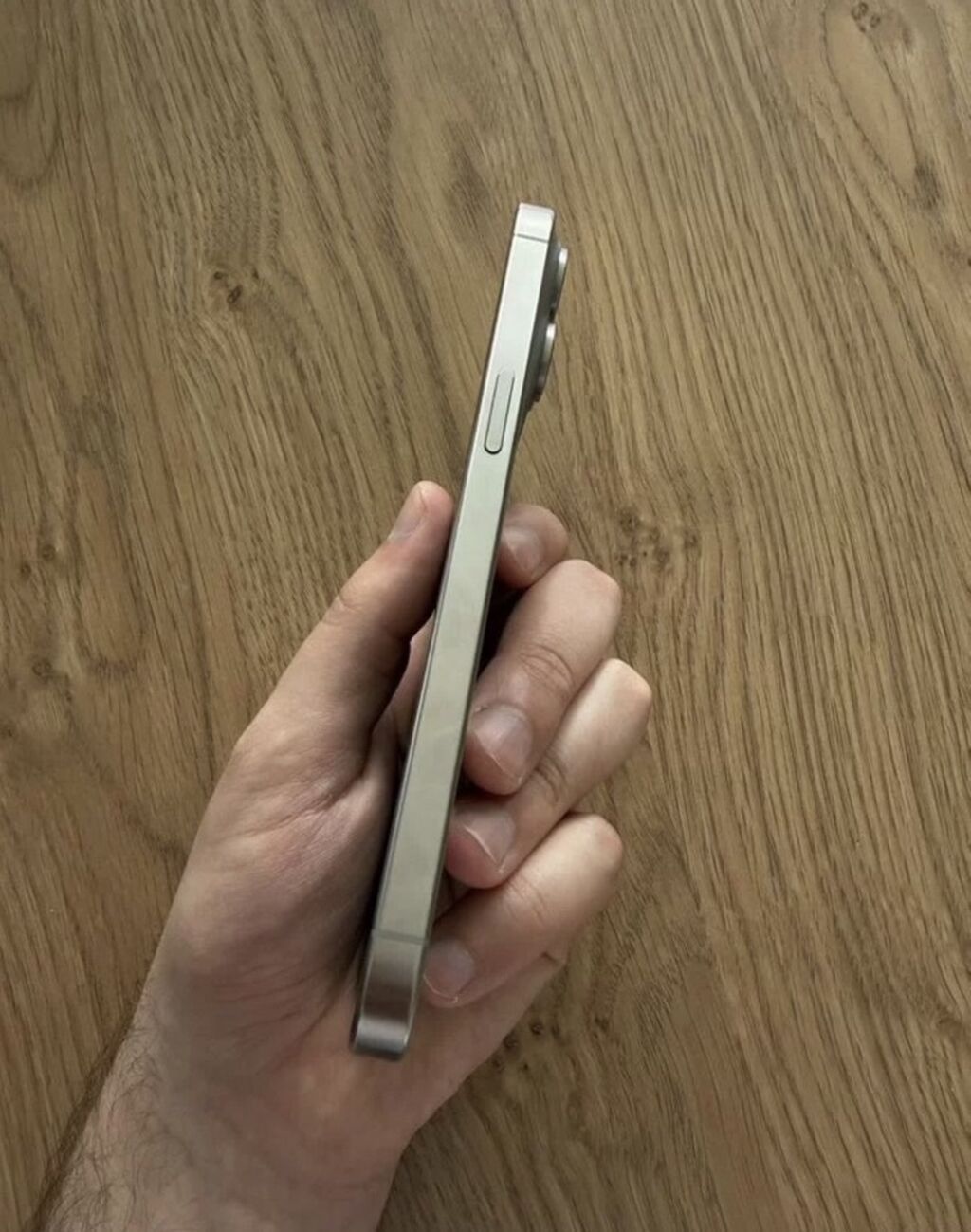 IPhone 15 Pro Max, титановый цвет (Natural Titanium) В идеальном — фото 5