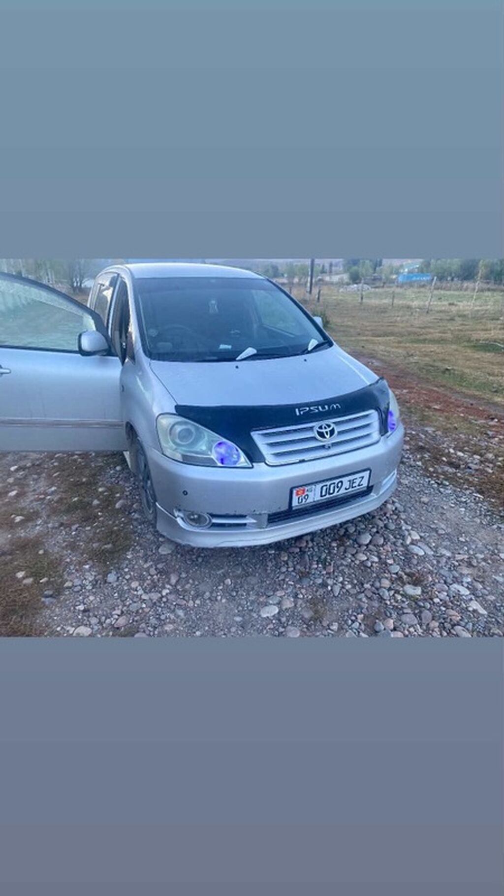Toyota Ipsum: 2001 г., 2.4 л, Автомат, Бензин, Минивэн: фото 3