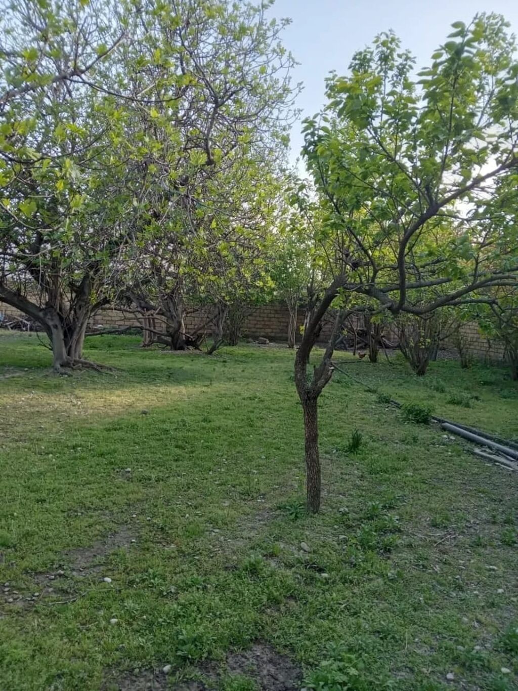 3 otaqlı, 100 kv. m, Kredit yoxdur, Orta təmir